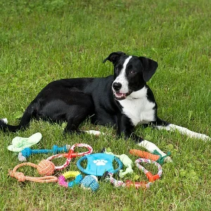 Sweetypet Wurfspiel Für Den Hund:30er-Set Bunte Hundespielzeuge Aus Baumwolle Zum Kauen Und Toben 17