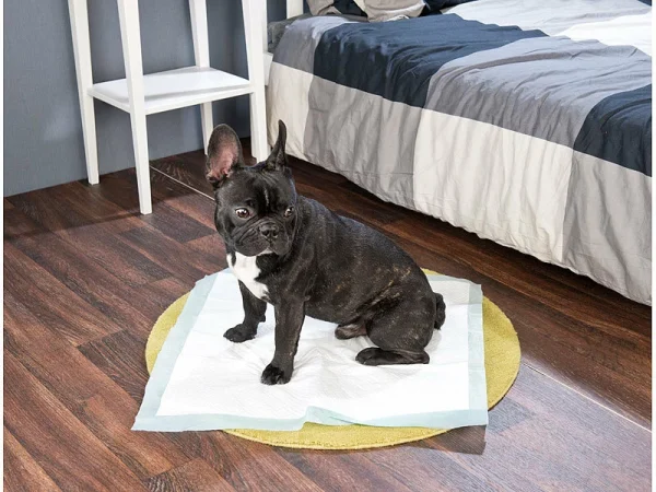 Sweetypet Puppy Trainer Pads:Trainingsunterlagen Für Welpen, Sehr Saugfähig, 60 X 60 Cm, 180 Stück 8