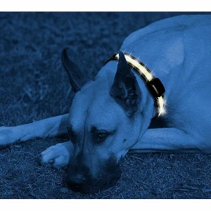 Infactory Hunde Leuchthalsband:LED-Leuchtband Mit Kinetischer Leucht-Funktion, Für Große Hunde 12