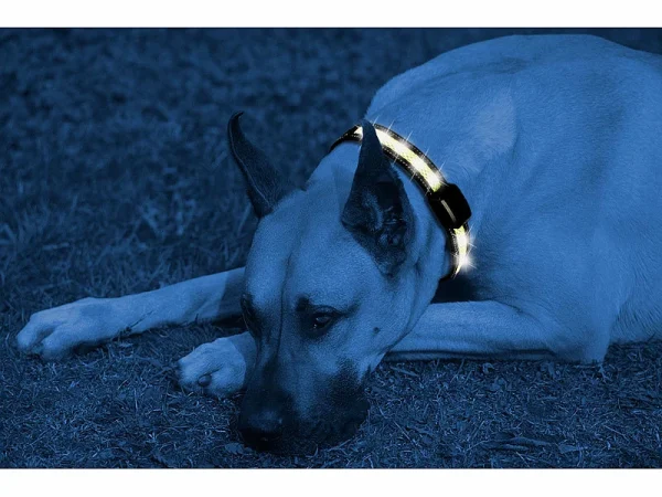 Infactory Hunde Leuchthalsband:LED-Leuchtband Mit Kinetischer Leucht-Funktion, Für Große Hunde 5