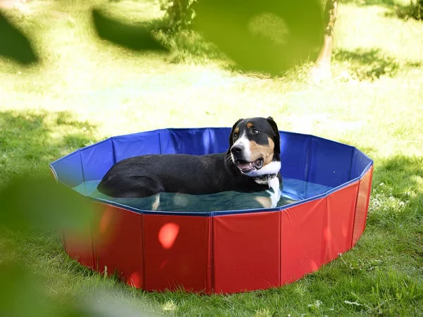 Sweetypet Pool:Faltbarer XL-Hundepool Mit Rutschfestem Boden, Ablassventil, 120×30 Cm 8