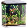 Sweetypet Nanobecken:Nano-Aquarium-Komplett-Set Mit LED-Beleuchtung, Pumpe Und Filter, 25 L 16