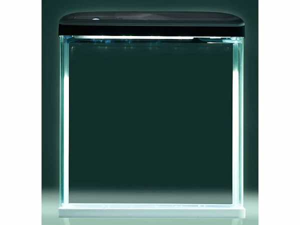 Sweetypet Aquarium Pflanzen:Nano-Aquarium-Komplett-Set Mit LED-Beleuchtung,Versandrückläufer 7