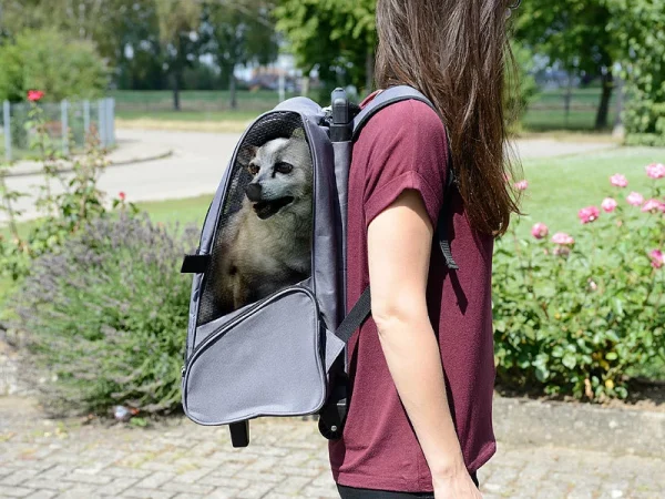 Sweetypet 2in1-Hunde-Trolley Und Rucksack Mit Sichtfenster, Bis 8 Kg, Anthrazit 8