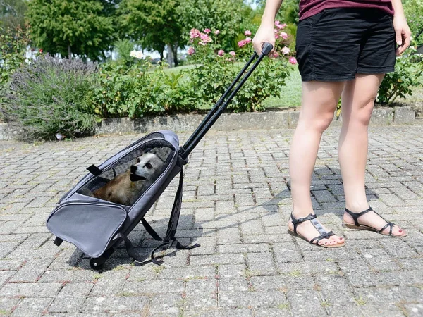 Sweetypet 2in1-Hunde-Trolley Und Rucksack Mit Sichtfenster, Bis 8 Kg, Anthrazit 9