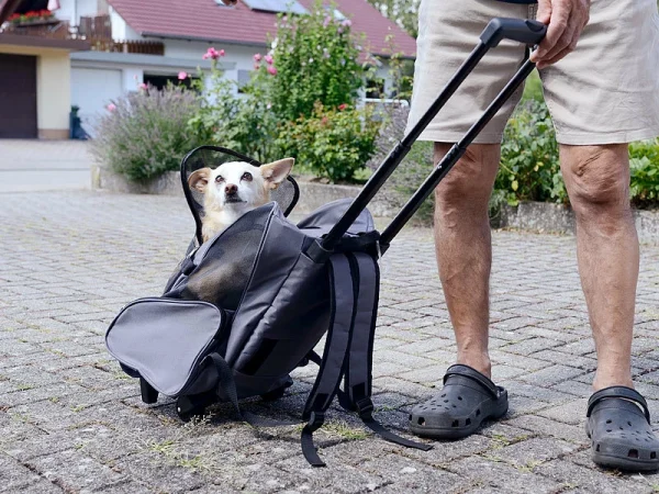 Sweetypet 2in1-Hunde-Trolley Und Rucksack Mit Sichtfenster, Bis 8 Kg, Anthrazit 14